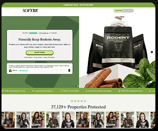 Post Purchase Funnels