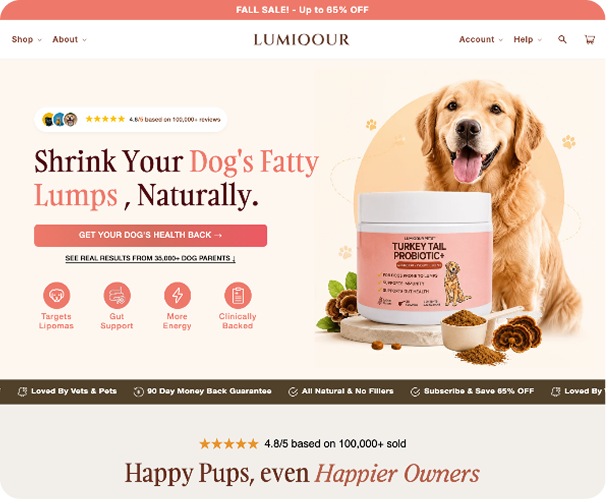 Site Optimizations