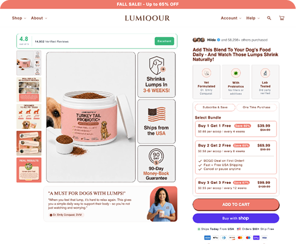 Subscription Funnels